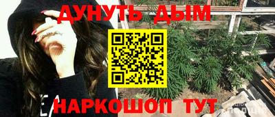 эйфоретик Кингисепп