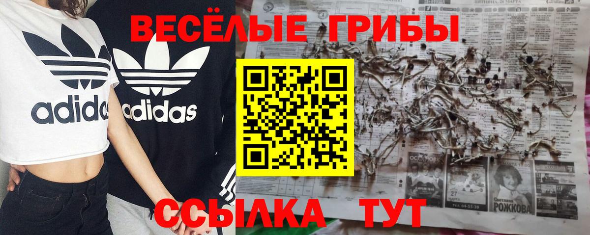 Кохма  где купить наркоту  Вход с VPN  Псилоцибиновые грибы Magic Shrooms 