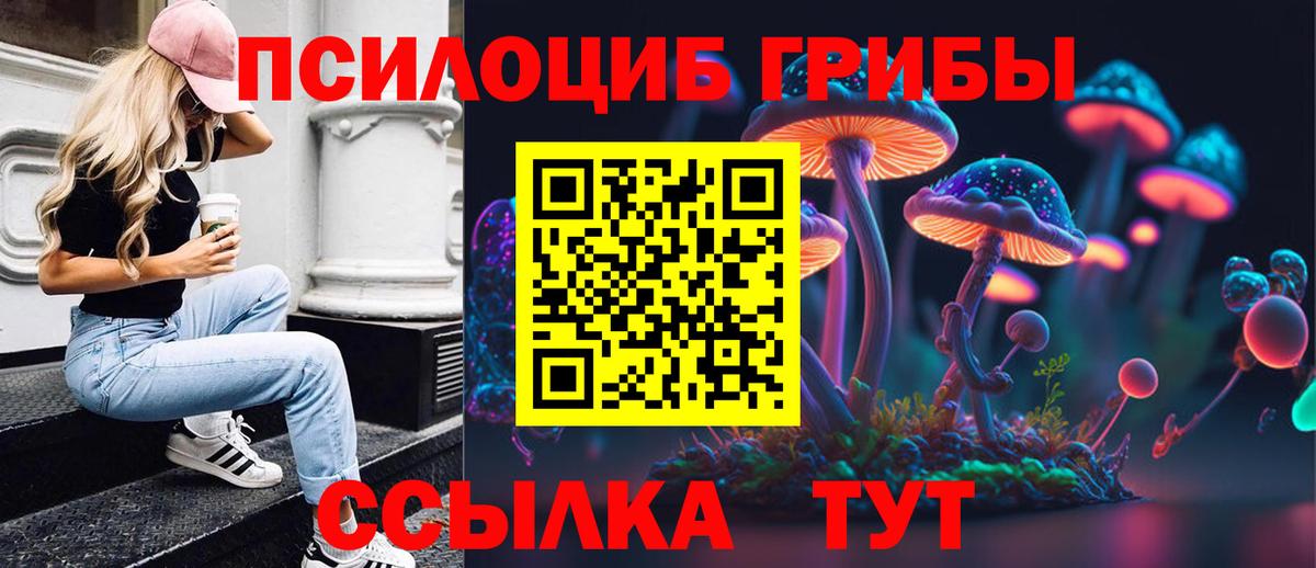 Псилоцибиновые грибы Psilocybine cubensis Кохма